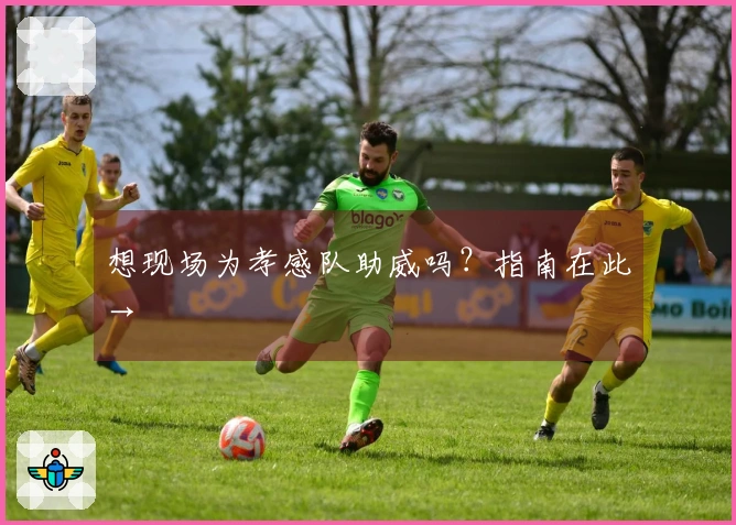 想现场为孝感队助威吗？指南在此→