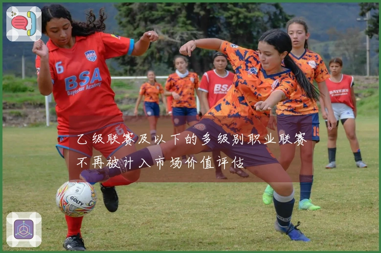 乙级联赛及以下的多级别职业联赛不再被计入市场价值评估