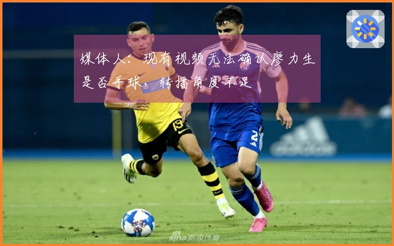 媒体人：现有视频无法确认廖力生是否手球，转播角度不足