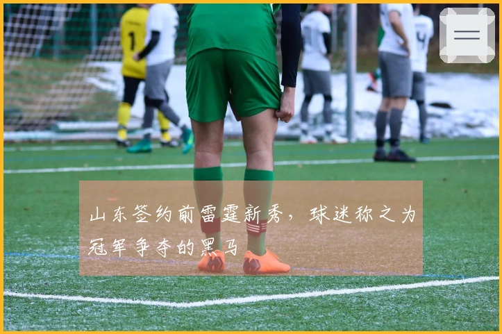 山东签约前雷霆新秀，球迷称之为冠军争夺的黑马